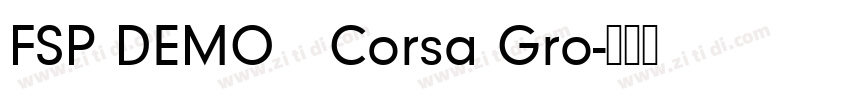 FSP DEMO   Corsa Gro字体转换